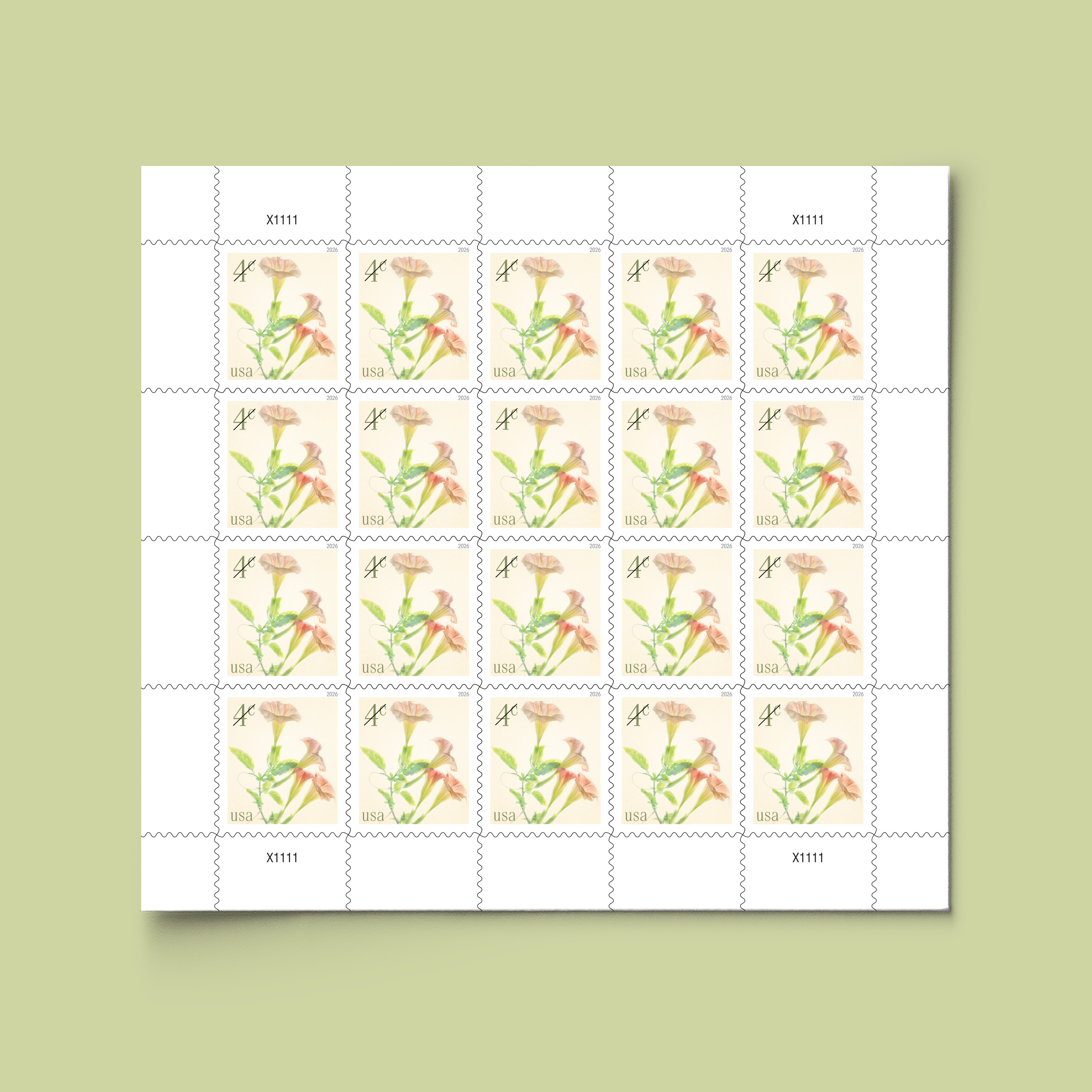 2026 Angel's Trumpets