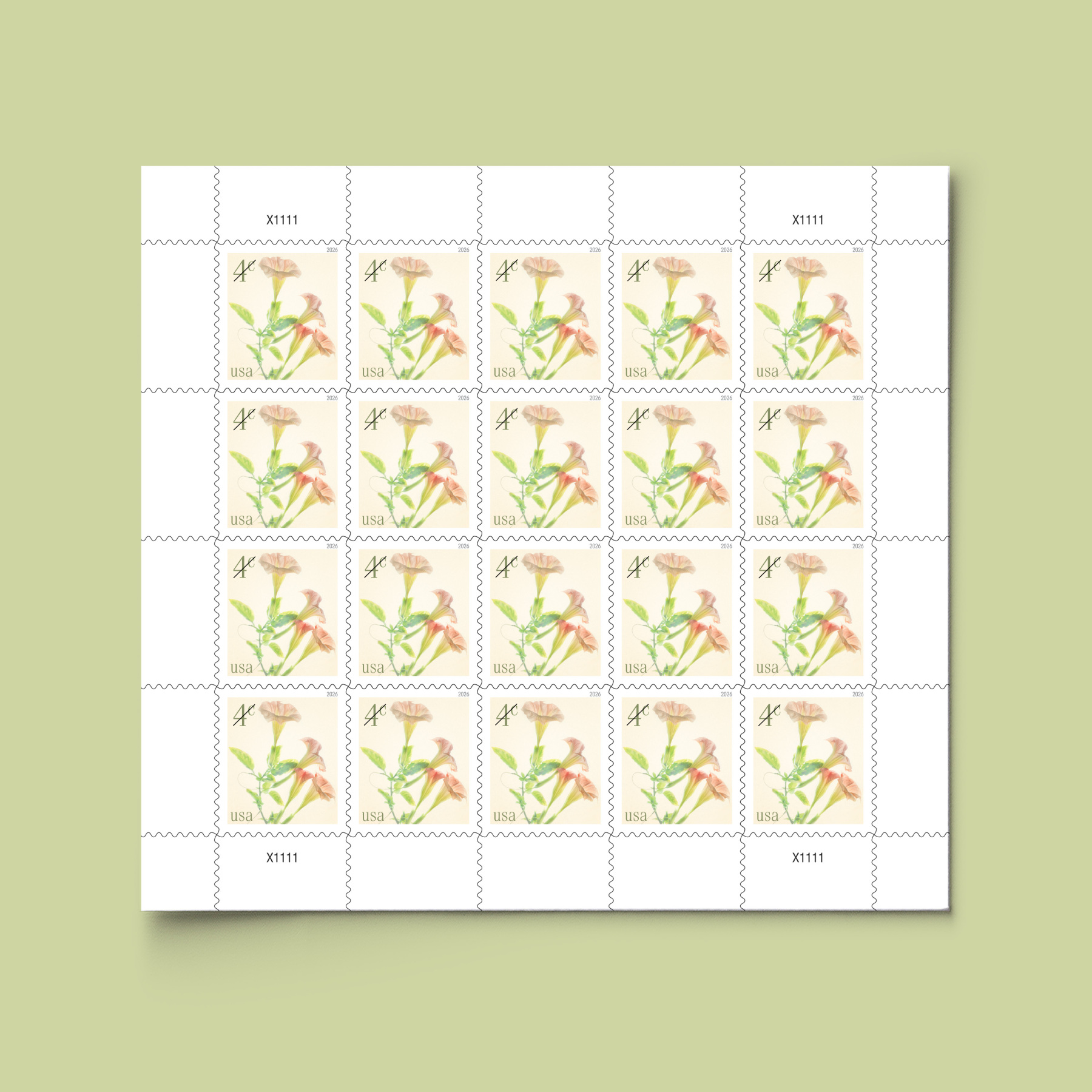 2026 Angel's Trumpets