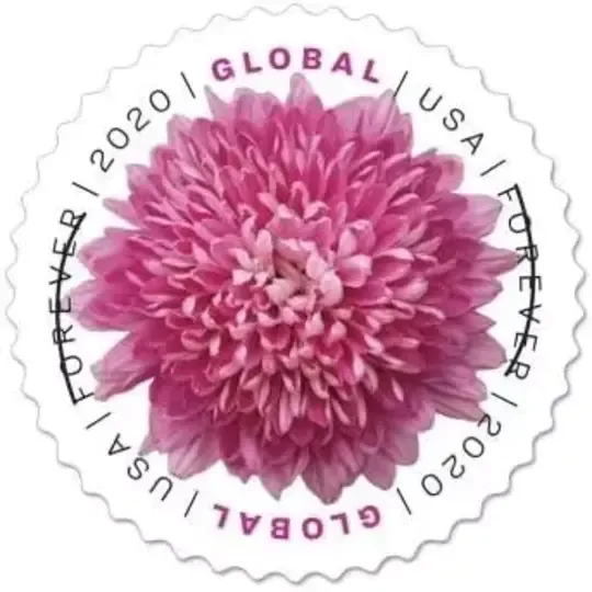 Global Chrysanthemum Stamps（International ＄1.45）