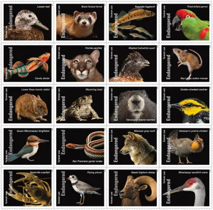 2023 Endangered Species First Class Postage Forever Stamps