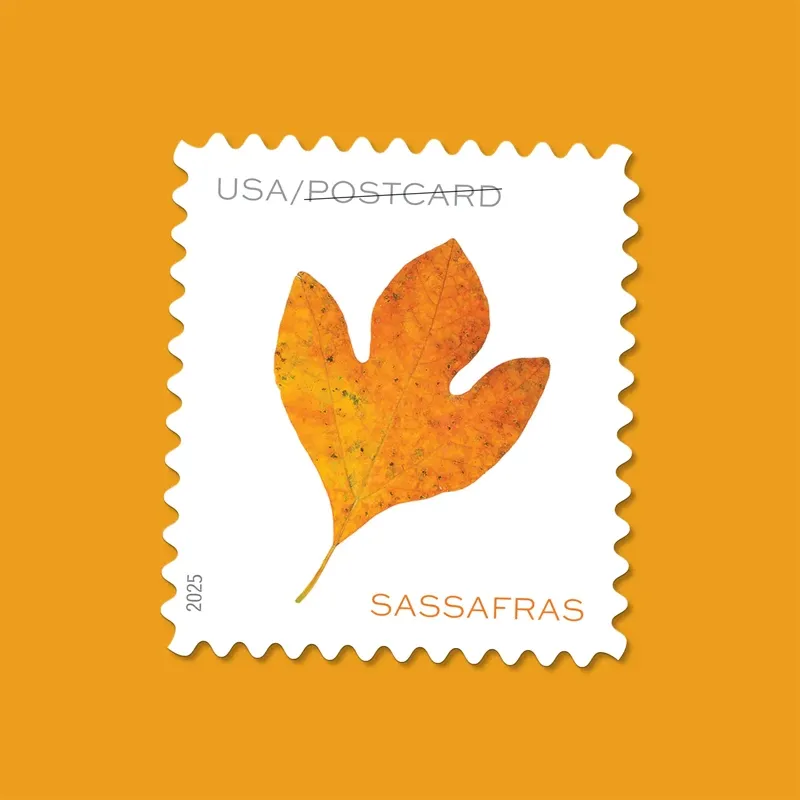 2025 Vibrant Leaves Postcard Stamps