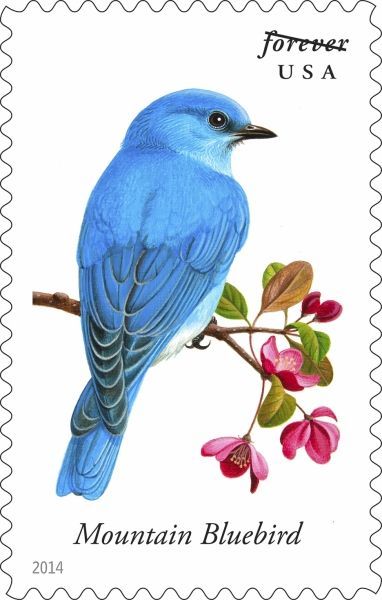 Songbirds Forever Stamps 2014