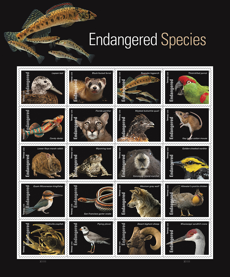 2023 Endangered Species First Class Postage Forever Stamps