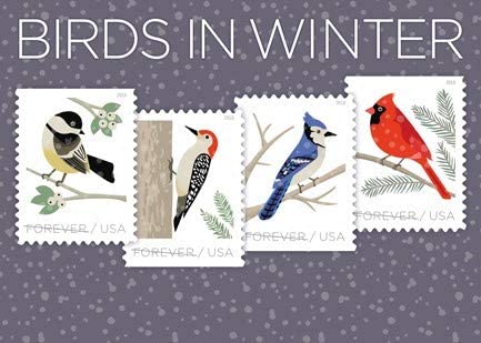 2018 Birds in Winter