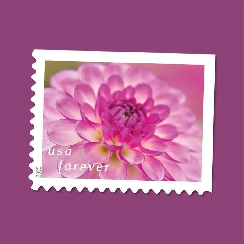 2025 First-Class Dahlias Forever Stamps 