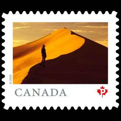 From Far and Wide (2020) : Permanent™ domestic rate stamps - coil of 100