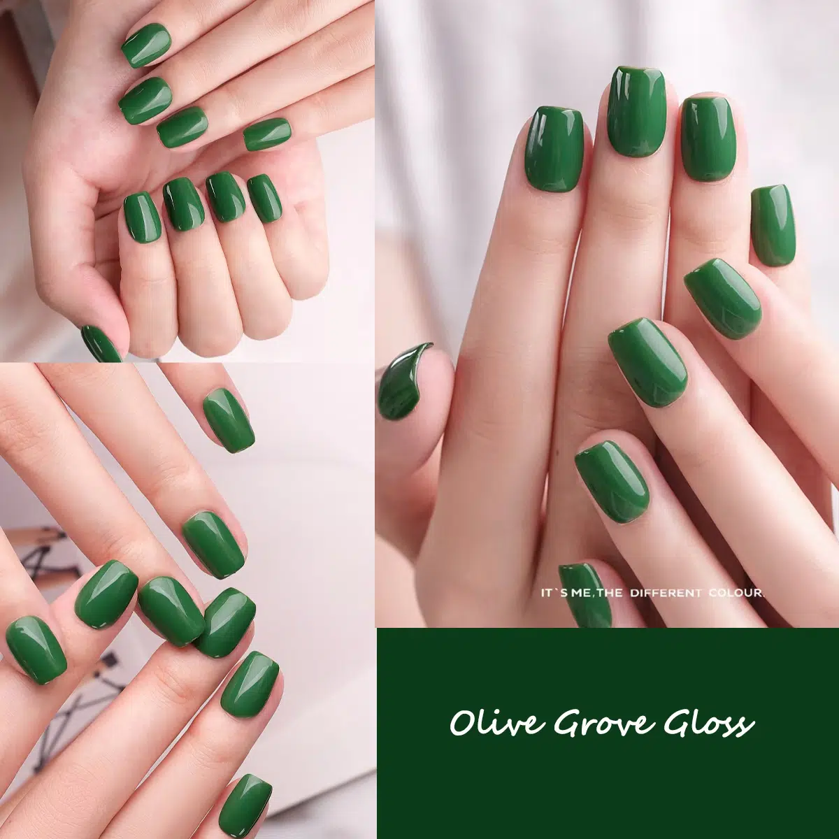 Olive Grove Gloss Press-On Nails | Coffin & Medium Almond Shapes | Quiet Luxury Green | Handcrafted press-on nails