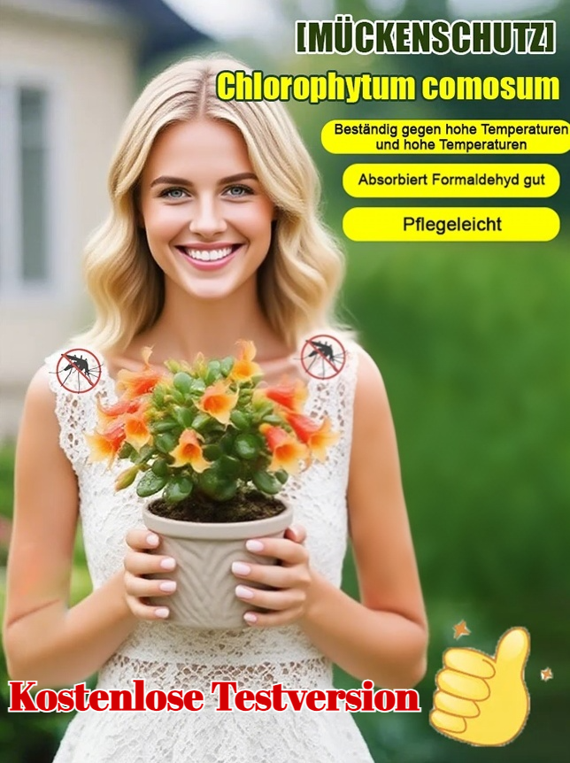 Absorbiert Formaldehyd und reinigt die Luft es mit einem frischen Aroma.Wehrt Mücken und Insekten ab