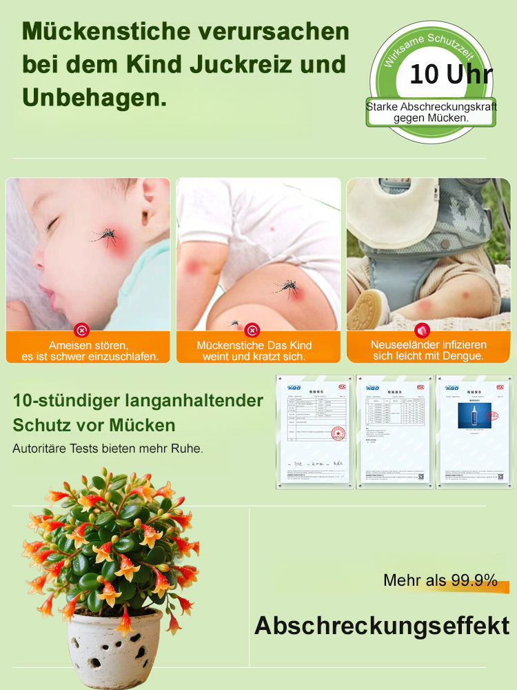 Absorbiert Formaldehyd und reinigt die Luft es mit einem frischen Aroma.Wehrt Mücken und Insekten ab