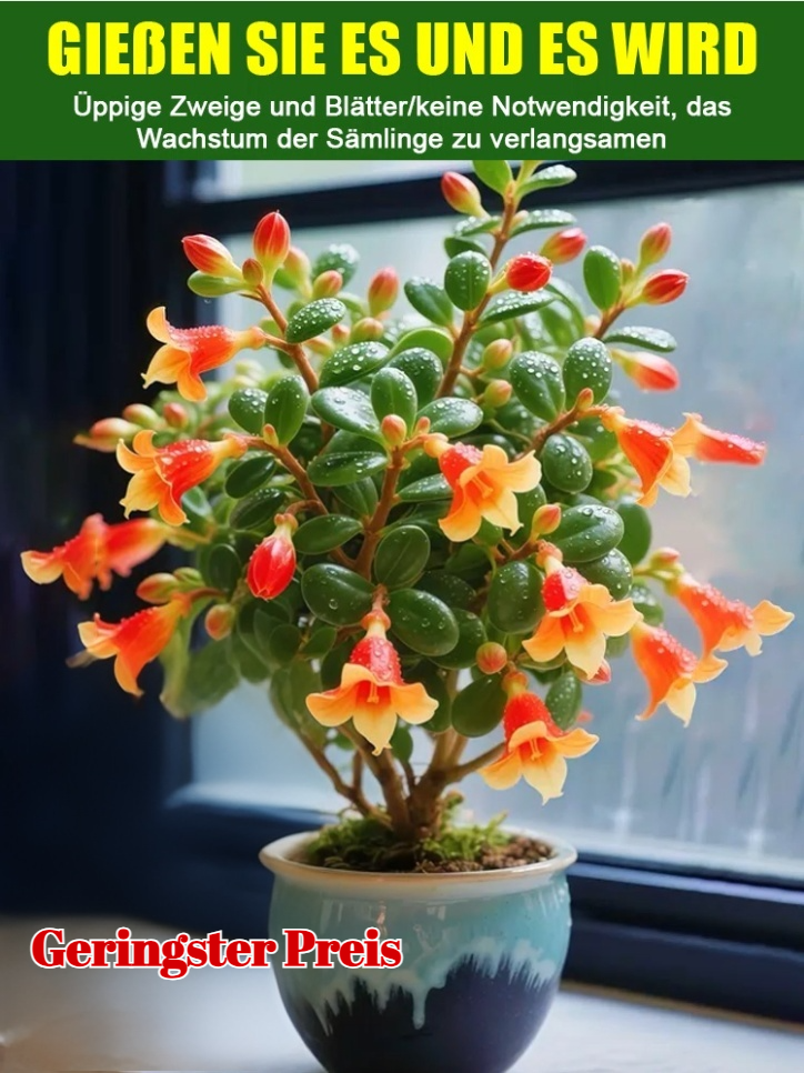 Absorbiert Formaldehyd und reinigt die Luft es mit einem frischen Aroma.Wehrt Mücken und Insekten ab