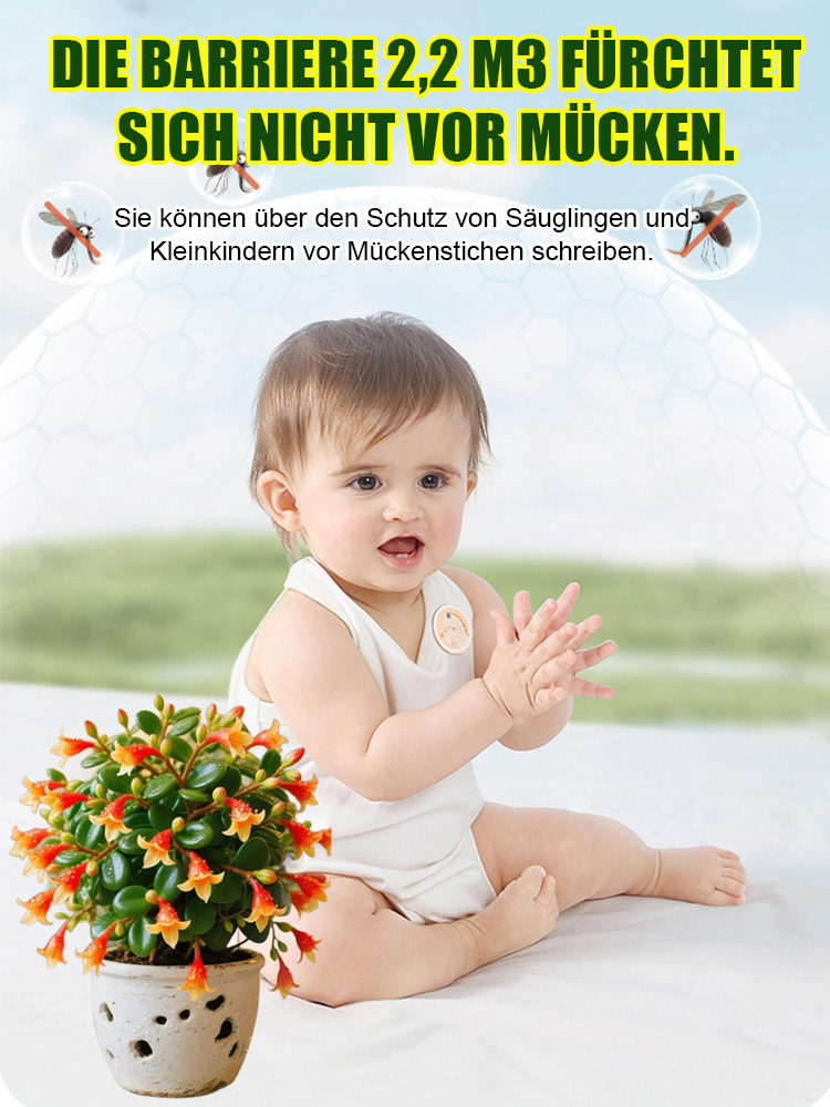 Absorbiert Formaldehyd und reinigt die Luft es mit einem frischen Aroma.Wehrt Mücken und Insekten ab