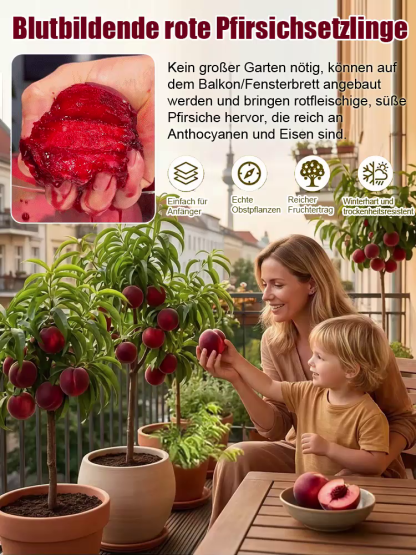 🍑✨Nach nur 1 Monat reif zur Ernte – butterzart, honigsüß und zergeht auf der Zunge. Reine Natur, völlig gentechnikfrei.