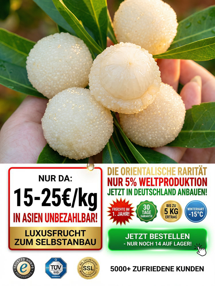 ✨Honigsüße Früchte von kristallklarer Reinheit，😋das neue Geschmackserlebnis, das seinesgleichen sucht