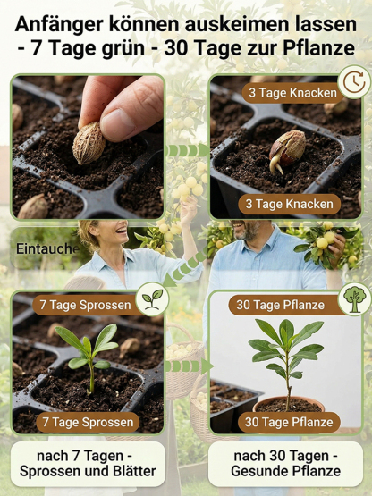 ✨Honigsüße Früchte von kristallklarer Reinheit，😋das neue Geschmackserlebnis, das seinesgleichen sucht