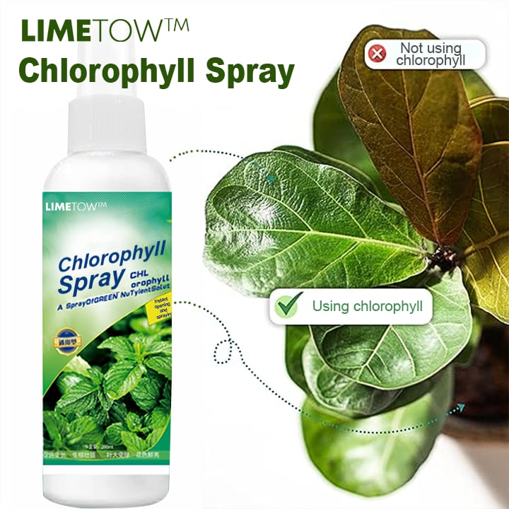 Chlorophyll Spray