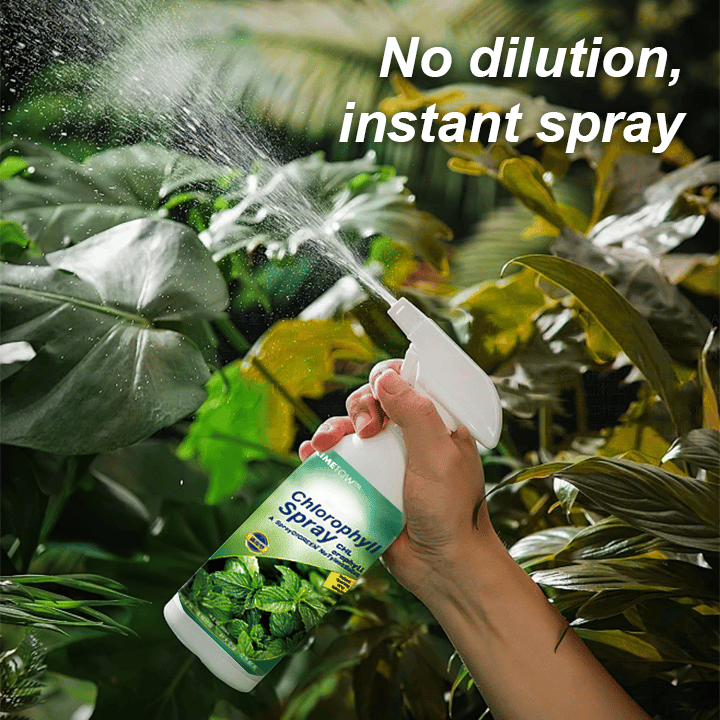 Chlorophyll Spray