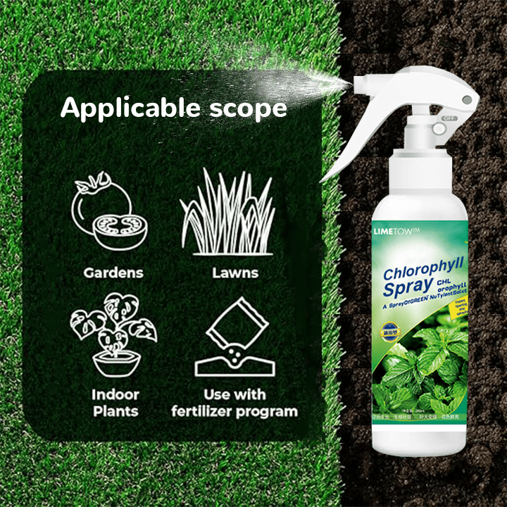 Chlorophyll Spray