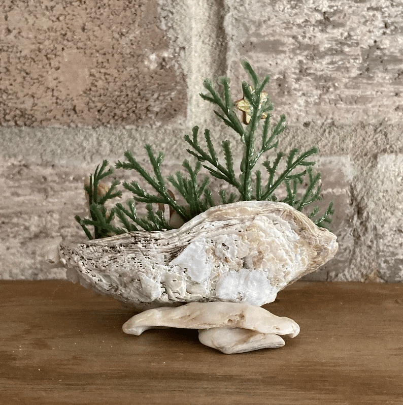 🎅2025 EARLY CHRISTMAS SALE -49% OFF🎁 - Handmade Nativity In An Oyster Shell Statue