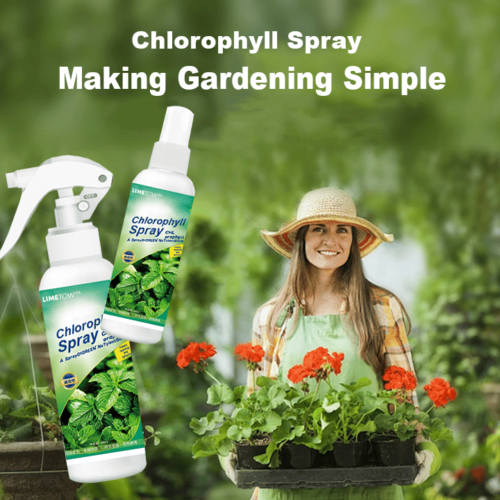 Chlorophyll Spray