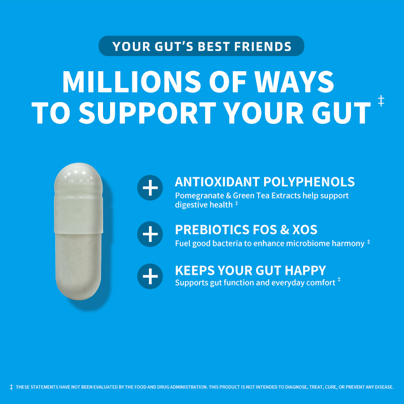 TIgermeet Gut Flora