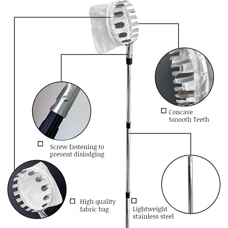 Close-up of stainless steel fruit picker basket