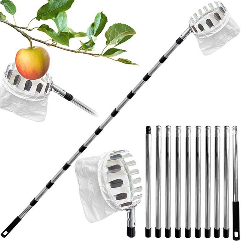 Portable stainless steel aerial fruit picker in a garden