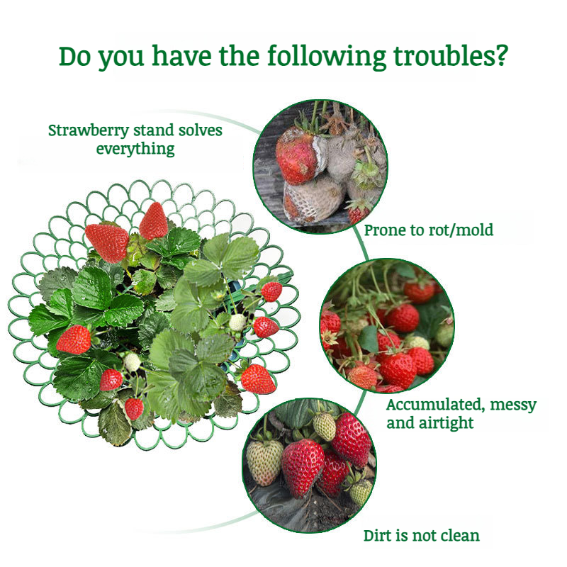 Durable plastic strawberry planting tray for small spaces