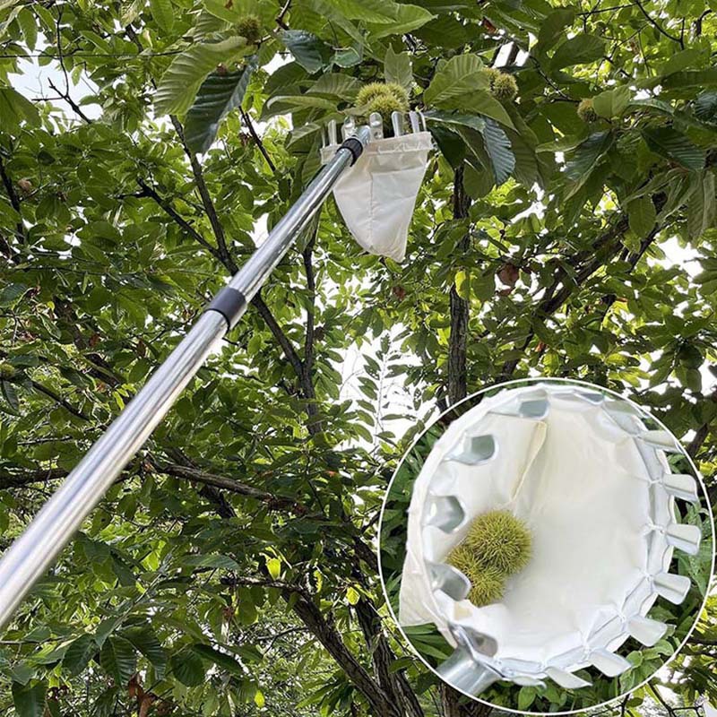 Telescopic fruit picker tool for high fruit trees
