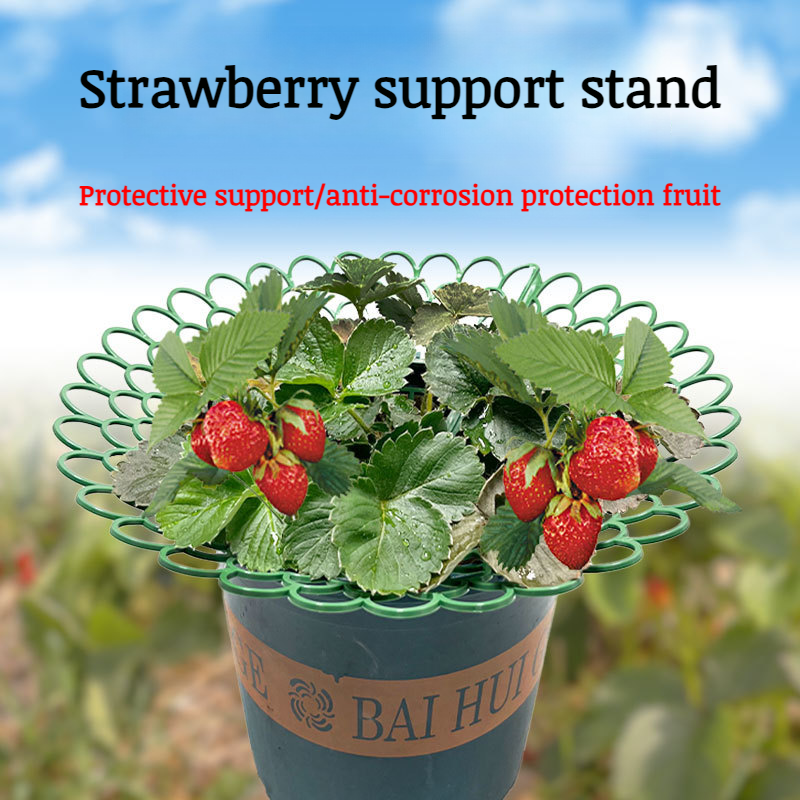 Vertical gardening rack tray for strawberries