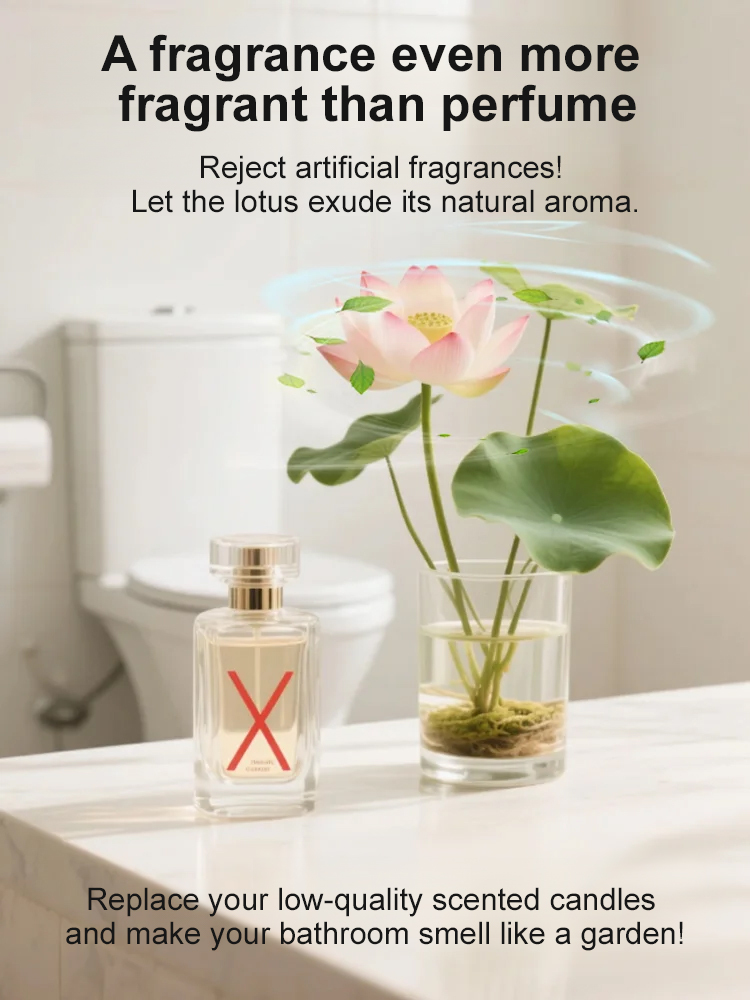 【Our Lady of the Waters, the Living Air Purifier】✨The latest variety developed by Cornell University, guaranteed to germinate🌱Where there's water, there's life✅