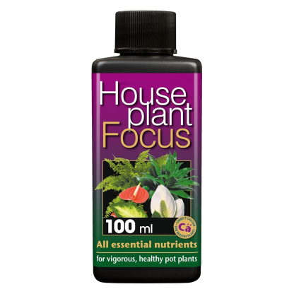 Zimmerpflanze Focus ausgewogene Liquid Konzentrierte Dünger 100 ml