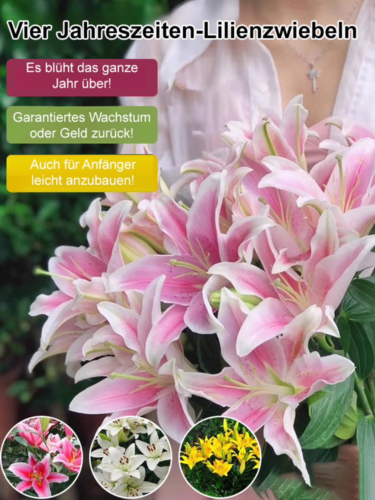 【Keine Blüten, volle Rückerstattung】Doppelblütige Duftlilien-Zwiebeln💐Duft intensiver als teure Parfüms