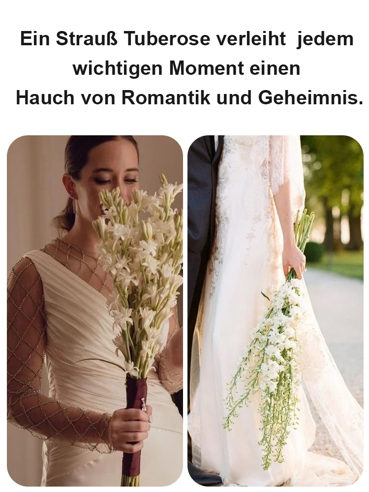 【Wenn es nicht blüht, volle Rückerstattung】Tuberose-Zwiebelblume💐Blumen duften besser als Luxusparfums