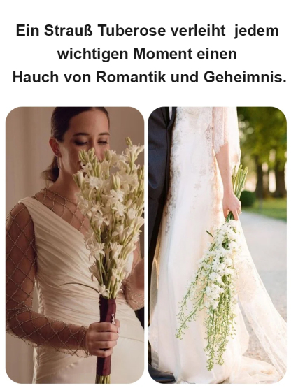 【Wenn es nicht blüht, volle Rückerstattung】Tuberose-Zwiebelblume💐Blumen duften besser als Luxusparfums