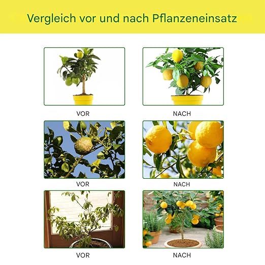 Liquid Fertilizer, Concentrated Growth Spray Lemon Trees, 1.93x6.22in Professional Mist Formula, Enhances Leaf Health and Root Development, Ideal for Thriving Citrus Plants