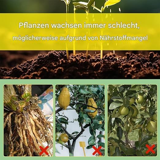 Liquid Fertilizer, Concentrated Growth Spray Lemon Trees, 1.93x6.22in Professional Mist Formula, Enhances Leaf Health and Root Development, Ideal for Thriving Citrus Plants