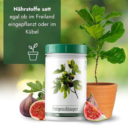  Feigenbaum Dünger [1kg] - Premium Dünger für Feigenbäume - Spezielle Formulierung für starke Pflanzen und viele Früchte - Profi Feigendünger Made in Germany