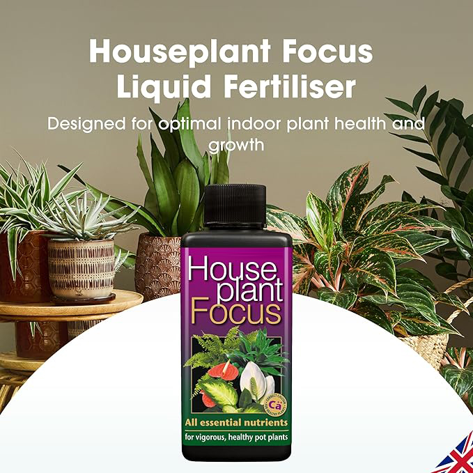 Zimmerpflanze Focus ausgewogene Liquid Konzentrierte Dünger 100 ml