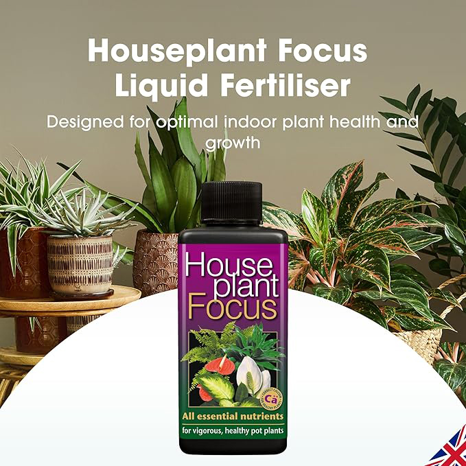 Zimmerpflanze Focus ausgewogene Liquid Konzentrierte Dünger 100 ml