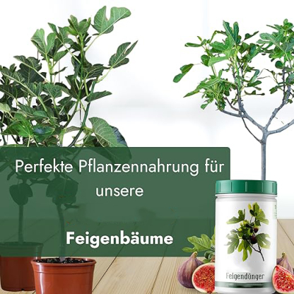  Feigenbaum Dünger [1kg] - Premium Dünger für Feigenbäume - Spezielle Formulierung für starke Pflanzen und viele Früchte - Profi Feigendünger Made in Germany
