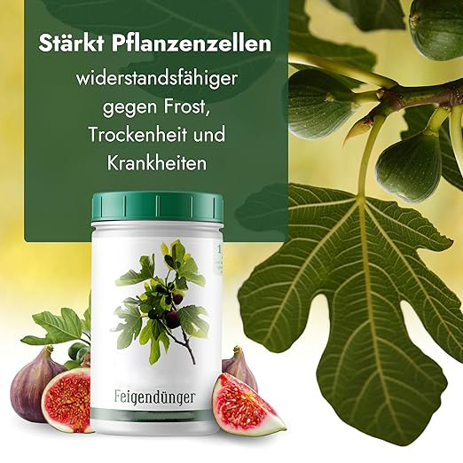  Feigenbaum Dünger [1kg] - Premium Dünger für Feigenbäume - Spezielle Formulierung für starke Pflanzen und viele Früchte - Profi Feigendünger Made in Germany