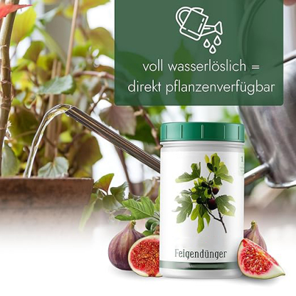  Feigenbaum Dünger [1kg] - Premium Dünger für Feigenbäume - Spezielle Formulierung für starke Pflanzen und viele Früchte - Profi Feigendünger Made in Germany