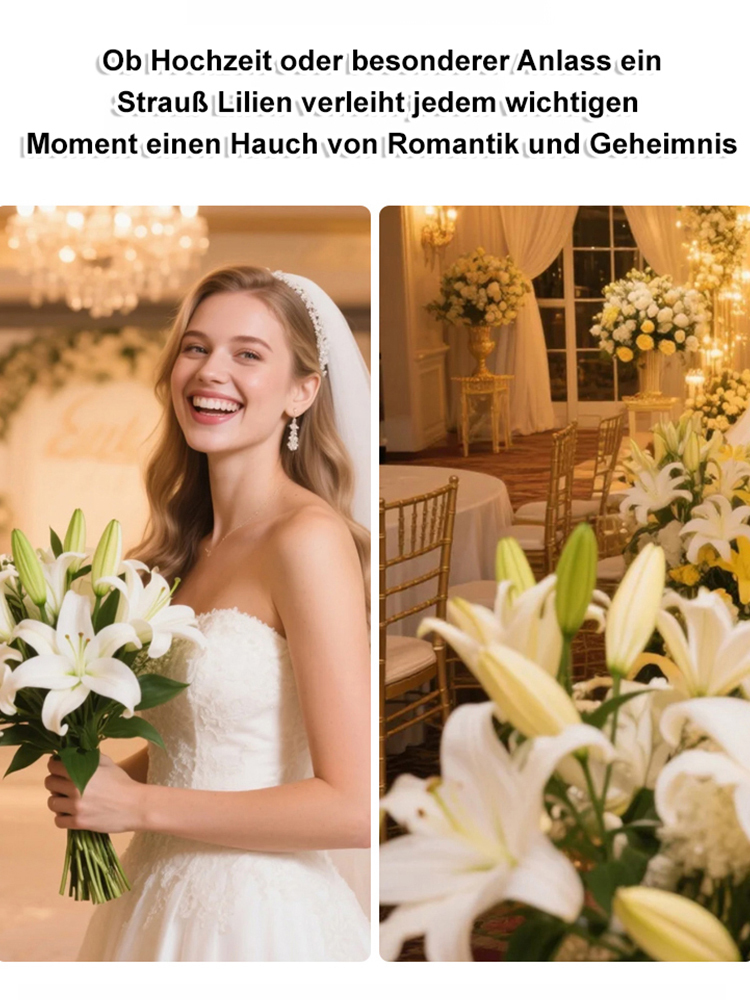 【Keine Blüten, volle Rückerstattung】Doppelblütige Duftlilien-Zwiebeln💐Duft intensiver als teure Parfüms