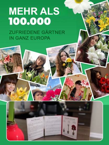 【Keine Blüten, volle Rückerstattung】 Ewiges niederländisches doppelt blühendes Amaryllis-Wachssiegel-Zwiebel💐Kein Gießen erforderlich, keine Blumentöpfe erforderlich