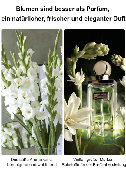 【Wenn es nicht blüht, volle Rückerstattung】Tuberose-Zwiebelblume💐Blumen duften besser als Luxusparfums