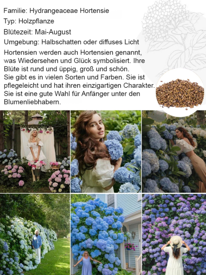 Erdbeer-Hortensie-ganzjährig blühend bis zu 200 Tage, absorbiert PM2.5 und Formaldehyd zur Luftreinigung💐
