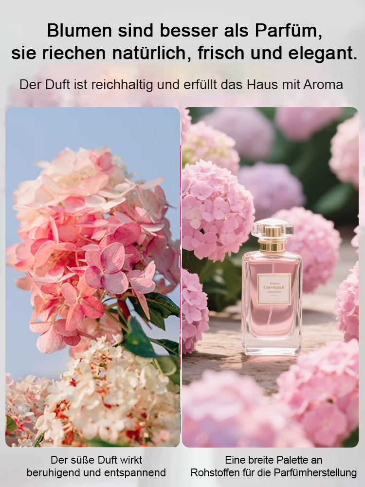 Erdbeer-Hortensie-ganzjährig blühend bis zu 200 Tage, absorbiert PM2.5 und Formaldehyd zur Luftreinigung💐