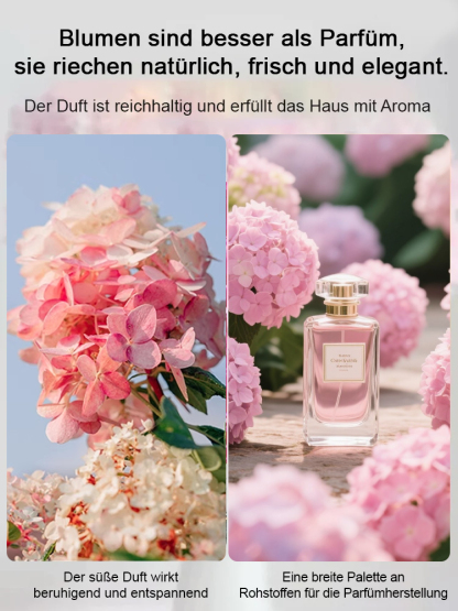 Erdbeer-Hortensie-ganzjährig blühend bis zu 200 Tage, absorbiert PM2.5 und Formaldehyd zur Luftreinigung💐
