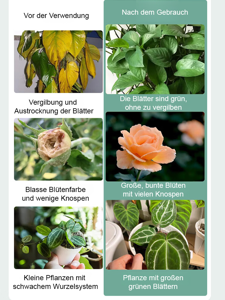 【Pflanzenwuchs außer Kontrolle】Pflanzenregenerationsmittel