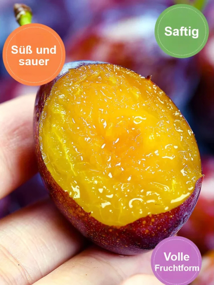 [Fördert die Verdauung und reduziert Bauchfett] Blue Honey Goddess Prune